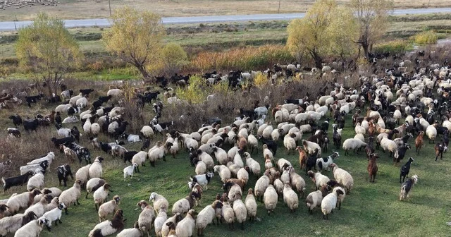 Göçerlerin Van dan Siirt e zorlu dönüş yolculuğu başladı Bitlis Haberleri Habertürk Yerel Haberler