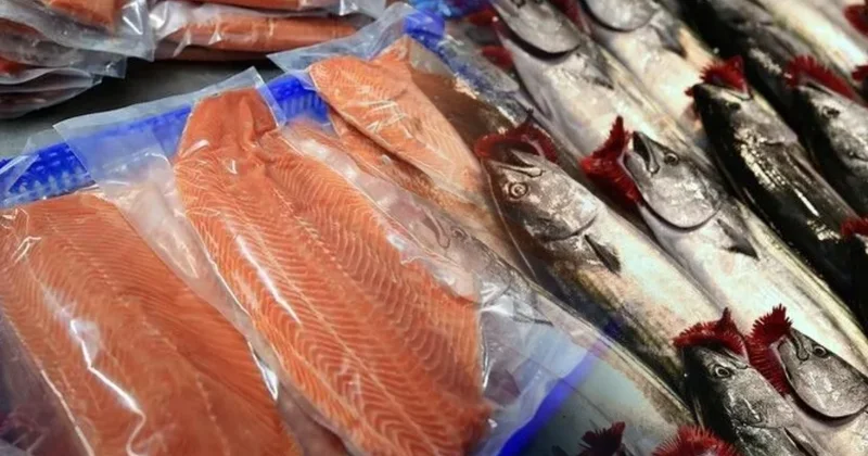 Somon ve palamuttan 10 kat fazla omega 3 içeren 5 besin Sözcü Gazetesi