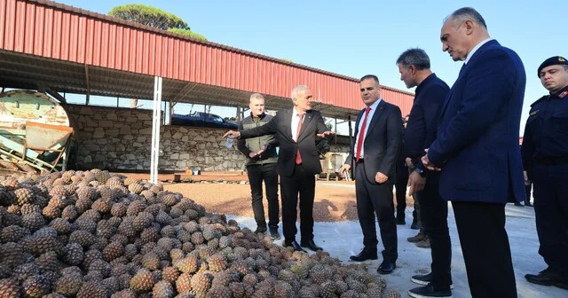 Vali Akbıyık, künar üreticilerinin taleplerini dinledi Muğla Haberleri Habertürk Yerel Haberler