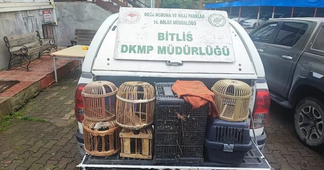 Bitlis te kaçak avlanmış canlı keklikler doğaya salındı Bitlis Son Dakika Haberleri Habertürk Yerel Haberler