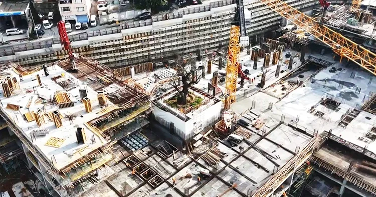 Yükselen yapıların ortasında tek başına: Tarihi tersanedeki asırlık ağaç havadan görüntülendi