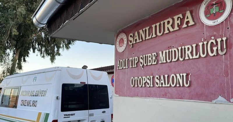 Başını ağaca çarpıp traktörden düşen çiftçi öldü! Son dakika haberleri