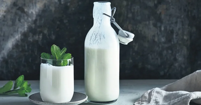 İDİL AÇIKALIN Milli içeceğimiz ayran