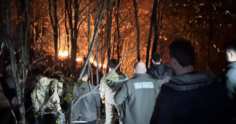 Ordu da ormanlık alanda yangın