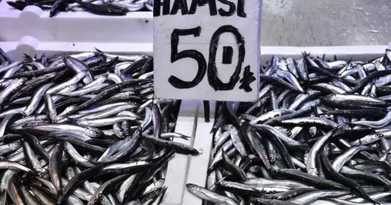 Kilosu 50 liraya düştü akın akın almaya gittiler