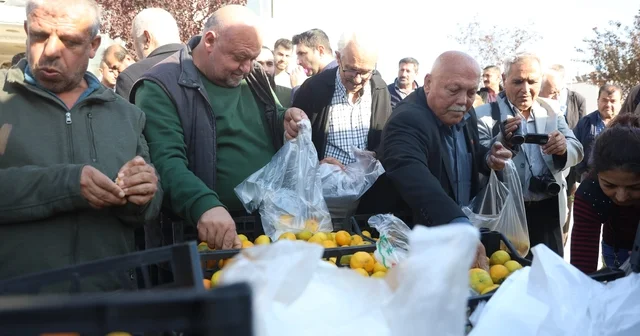 Mandalinanın fiyatı 2 TL ye düşünce tonlarca ürünü vatandaşlara ücretsiz dağıttılar Hatay Haberleri