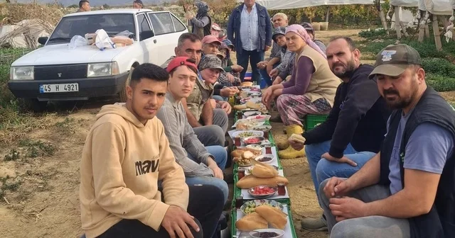 Üzüm alıcısından işçilere ziyafet Manisa Haberleri