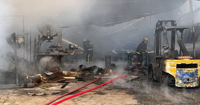 Antalya da korkutan yangın! Zarar 10 milyon TL