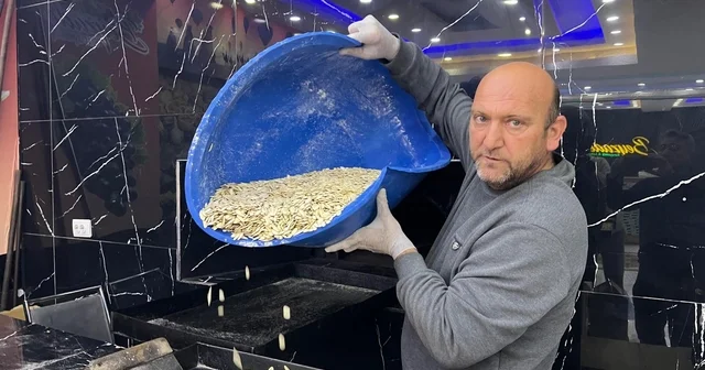 Nevşehir in coğrafi işaretli kabak çekirdeğine yabancılardan da yoğun ilgi Nevşehir Haberleri