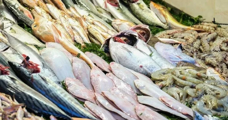 Hamsi, somon veya palamut değil: Kış aylarında B12 ve omega deposu bu balıklar tüketilmeli Sözcü Gazetesi