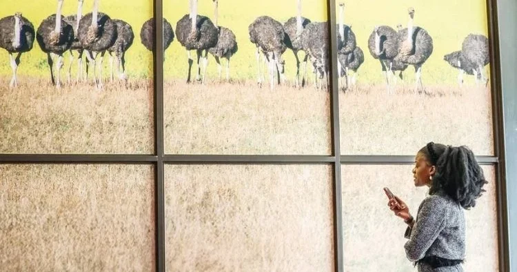 Afrika’daki ilk zirve