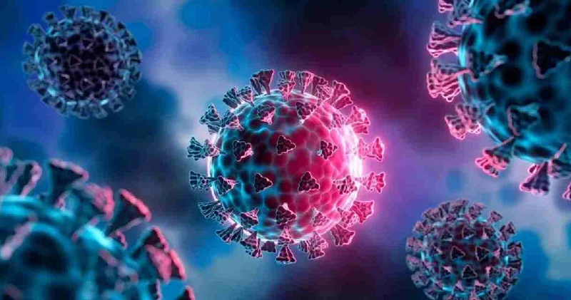 Yeni salgın alarmı! Kuş gribi can aldı