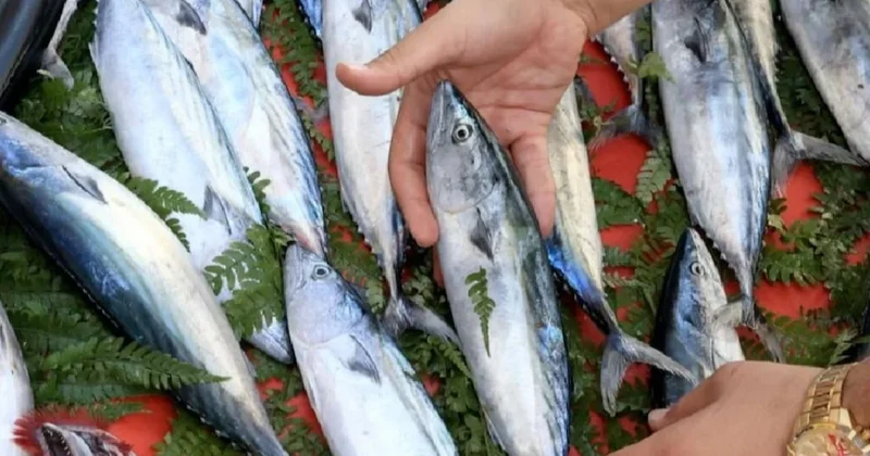 Zenginler yüzüne balık spermi enjekte etmeye başladı Sözcü Gazetesi