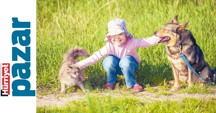 Kedi ve köpeklerin sağlığı için 6 önemli konu
