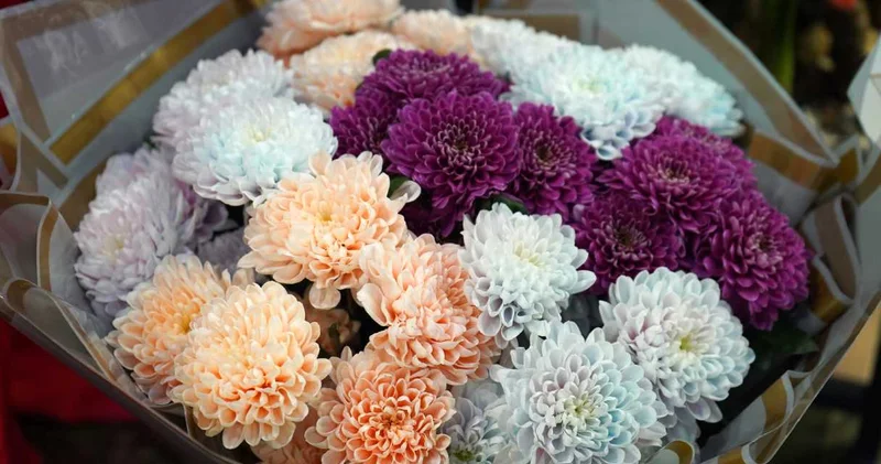 Çiçekçilerde Öğretmenler Günü hareketliliği: 1000 TL den başlıyor