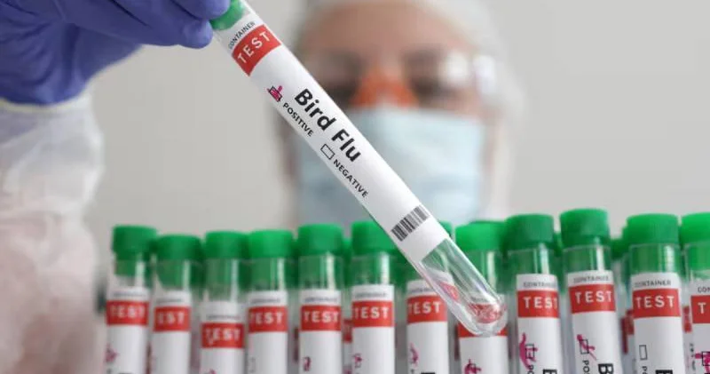 ABD de bir kişi kuş gribi nedeniyle hayatını kaybetti