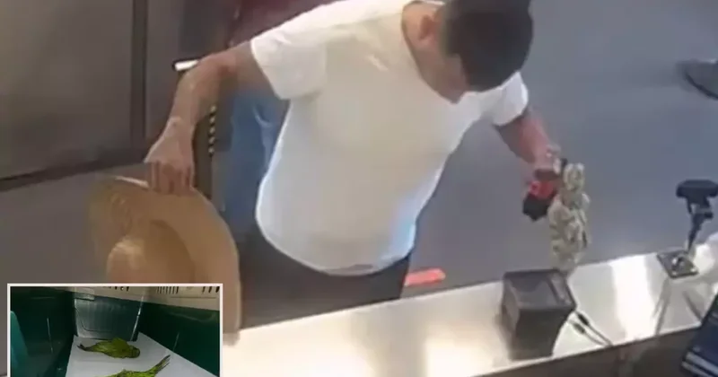 İç çamaşırında kaçak papağanlarla sınırı geçmeye çalıştı