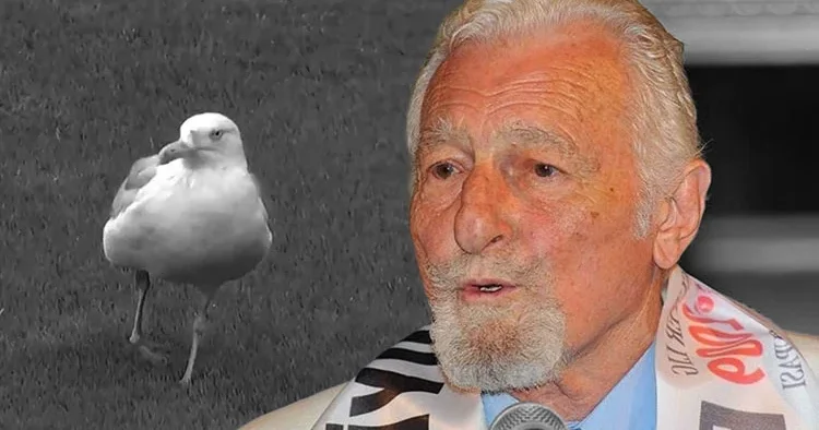 Dolmabahçe de martı efsanesi: Süleyman Seba nın sözleri akıllara geldi!