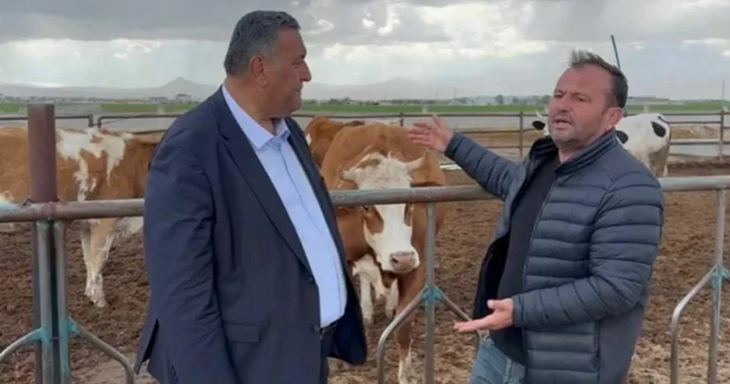 CHP li Gürer den et tepkisi: Besici desteklenmezse...