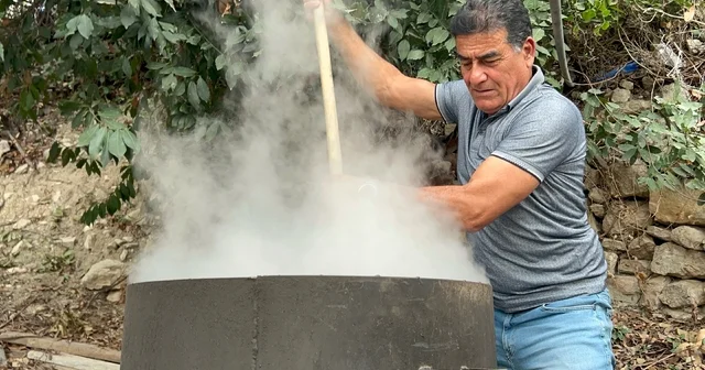 Hatay da defne yağının litresi bin liradan alıcı buluyor Hatay Haberleri