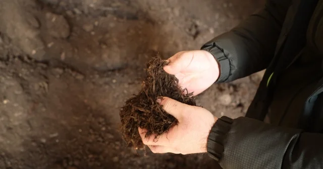 Torf üretimiyle yılda 50 milyon lira tasarruf sağlanıyor Kocaeli Haberleri