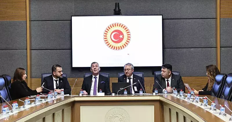 Dünya Engelliler Birliği Başkanı Şentürk: Hayatı kolaylaştıran yegane unsurun bakış açısı olduğuna inandım