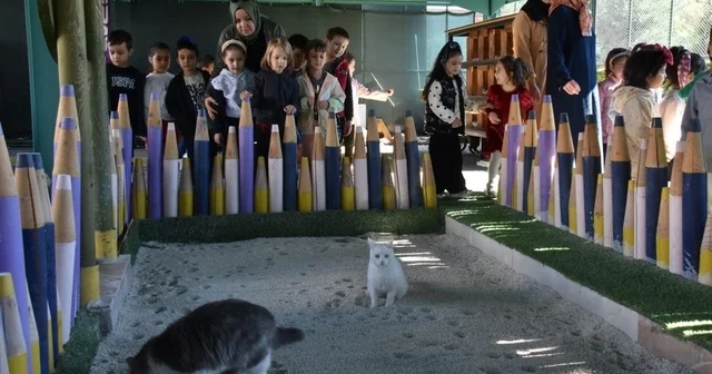 Türkiye de ilk olan Küçük Dostlar Ambulansı ile 10 bin 280 can kurtarıldı Küçük Dostlar Ambulansı, hasta ve yaralı hayvanlara anında müdahale ediyor Kayseri Haberleri