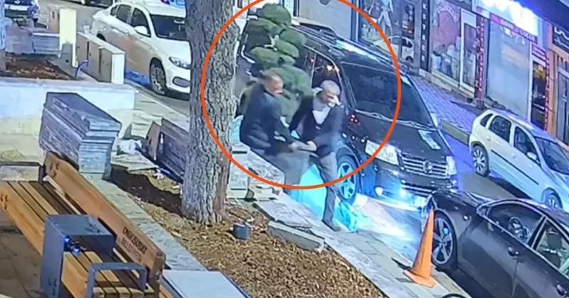 Parktaki ağacı otomobile yükleyip götürdüler