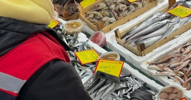Tekirdağ da perakende balık satış noktalarına sıkı denetim Tekirdağ Haberleri