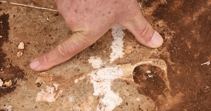 Diyarbakır’da inanılmaz keşif: Tetis Denizi zemini olabilir! Milyonlarca yıl boyunca oluşan fay kırıkları…