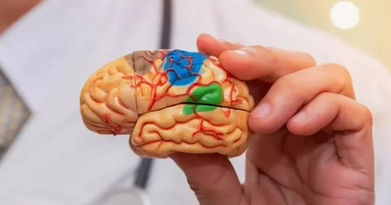 Beyninizi 6 ay birden yaşlandırıyor! Hızla beyin yaşınızı yükseltiyor