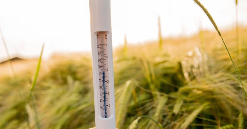 2025 te küresel sıcaklıklar rekor seviyelere ulaştı