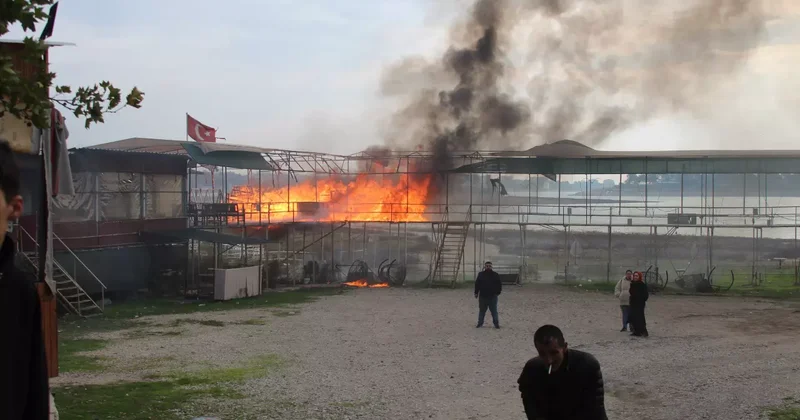 Adana da yıkım savaş alanına döndü: Dükkanlar yakıldı, bir kişi kendine zarar verdi