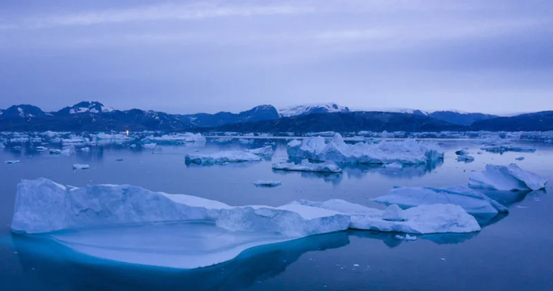 Grönland krizi: Trump temsilci atadı, Danimarka tepki gösterdi Dış Haberler