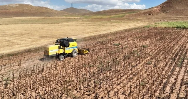 Tarımsal girdi fiyatları yıllık yüzde 33,66 arttı Erzincan Haberleri