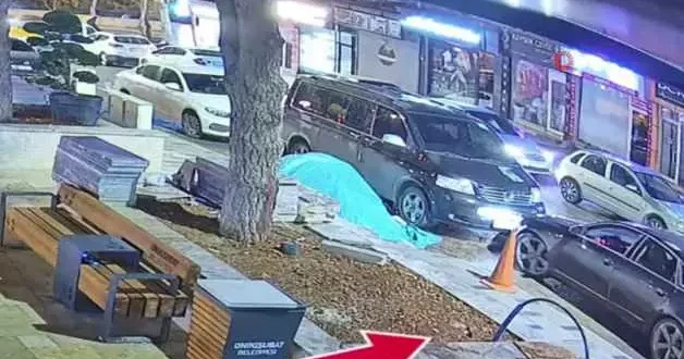 Kahramanmaraş ta lüks araçla gelip parktaki ağacı çaldılar