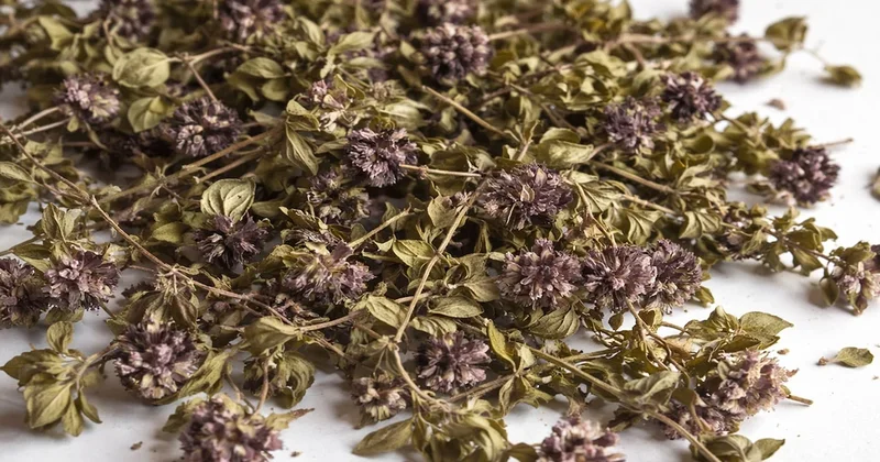 Bu çiçeğin sadece 35 gramını kaçırdı: 557.000 ceza aldı Sözcü Gazetesi