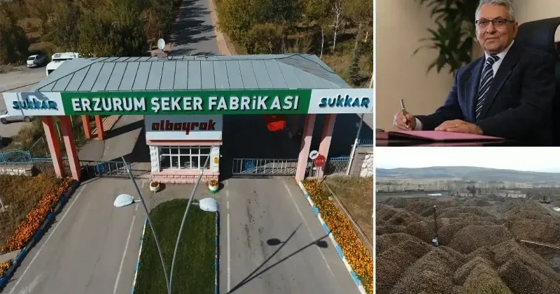 Sukkar Şeker üretimde vites yükseltti: Bir yılda yarım milyon ton aşıldı, hedef büyüdü Ekonomi Haberleri