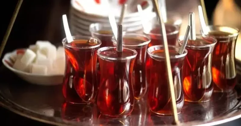 35 kiloluk çaydan sel felaketine uzanan hikâye! Rize de sel felaketleri önlenebilir miydi?