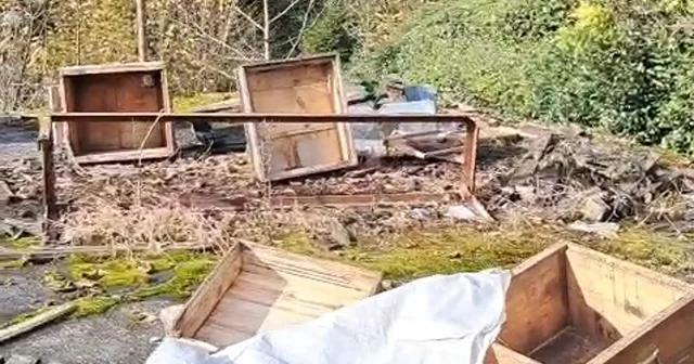 Rize de ayının kovanlarına saldırdığı üretici isyan etti: Ben şimdi ne edeyim Rize Haberleri