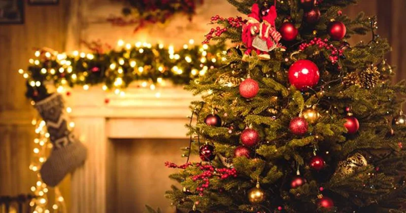 Fiyatı rekora koşunca kimse alamadı! Yılbaşının vazgeçilmezi tezgahta kaldı