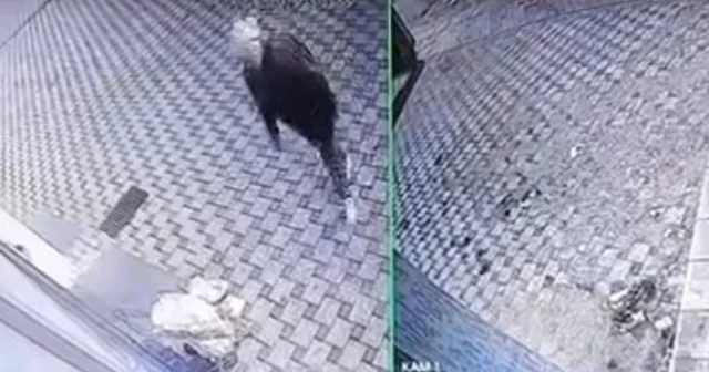 Bursa da pazar arabası hırsızlığı Bursa Haberleri