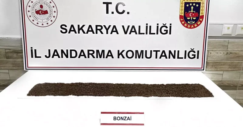 Jandarma uyuşturucuya geçit vermiyor: 1 tutuklama