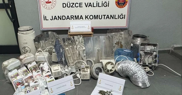 Evinin çatısına kenevir bahçesi kuran 1 şahıs yakalandı Düzce Haberleri