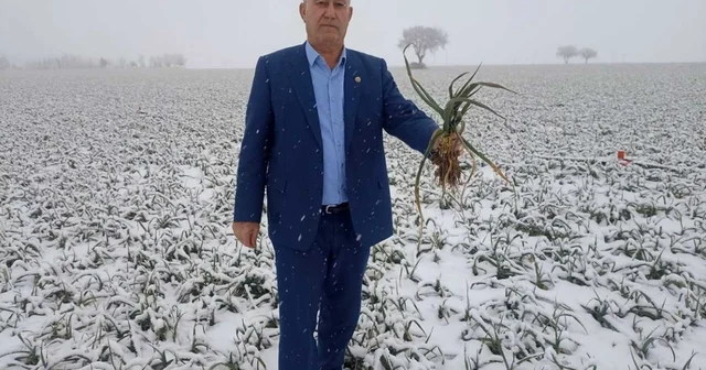 Kar yağışı çiftçileri sevindirdi Gaziantep Haberleri