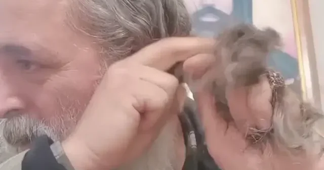 Alevi dedesi YPG li teröristlere destek için saçını ördü VİDEO İZLE