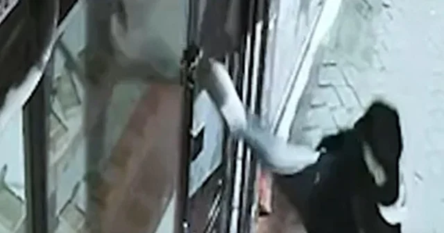 Kapı camını tekmeyle kırıp girdikleri iş yerinden 100 bin liralık telefon çaldılar Iğdır Haberleri