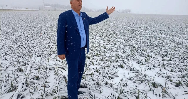 Kar yağışı sarımsak üreticisinin yüzünü güldürecek Gaziantep Haberleri