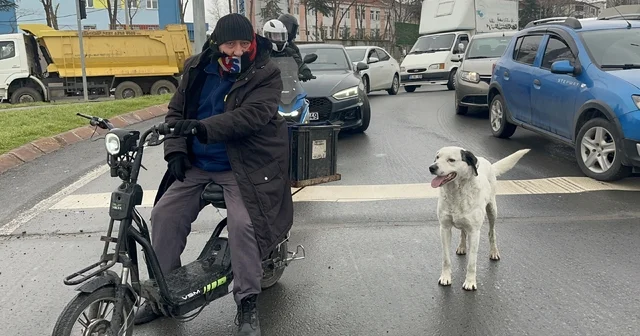 Çarşı pazar peşinden ayrılmıyor Tekirdağ Haberleri