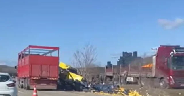 Burdur da limon yükü tır şarampole devrildi Burdur Haberleri